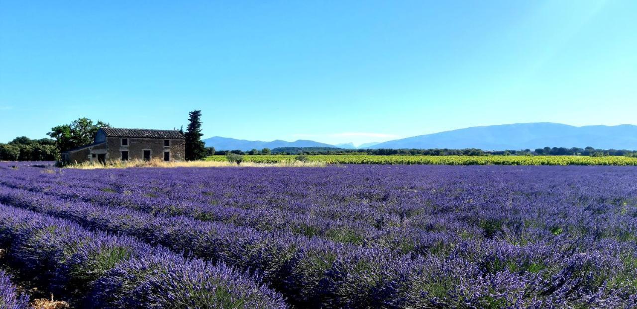 L'Instant Provence Villa Valréas Kültér fotó