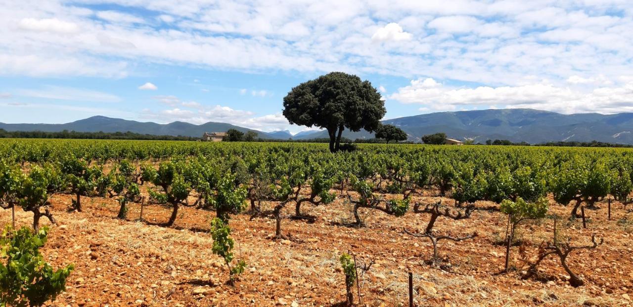 L'Instant Provence Villa Valréas Kültér fotó